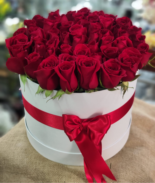 Hermoso Cilindro de 50 Rosas