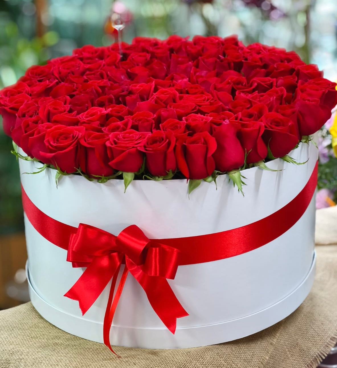 Cilindro gigante de rosas